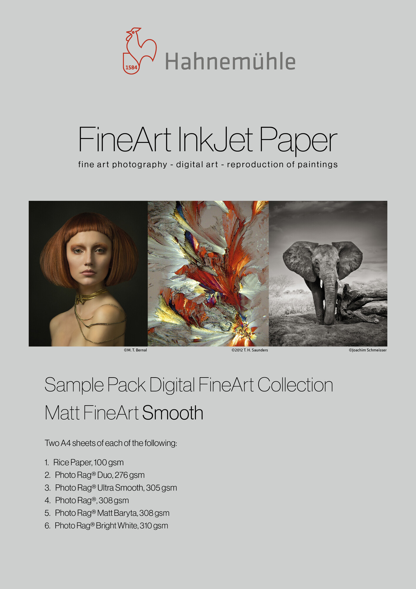Matt FineArt
